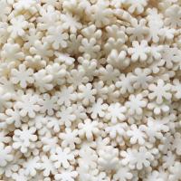 IMG_1638_result-900x900